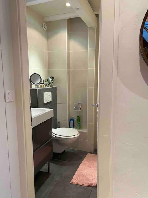 Charmant Duplex Privatise, Climatise, 2 Chambres Strasbourg Exterior photo
