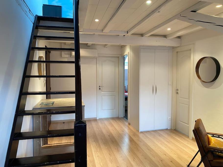 Charmant Duplex Privatise, Climatise, 2 Chambres Strasbourg Exterior photo