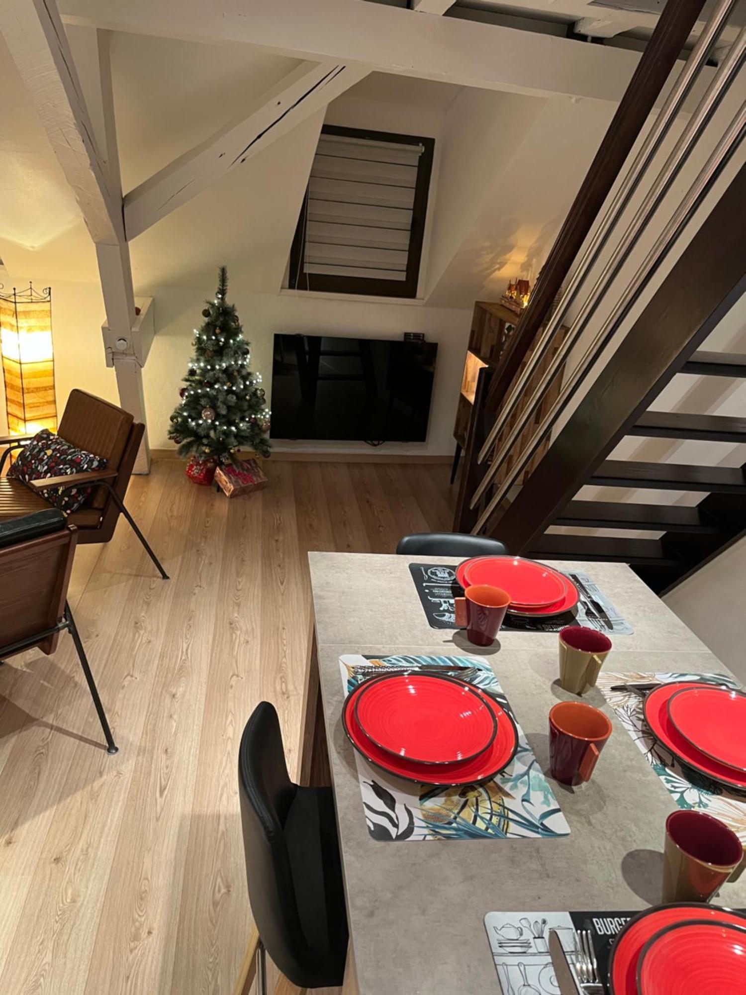 Charmant Duplex Privatise, Climatise, 2 Chambres Strasbourg Exterior photo