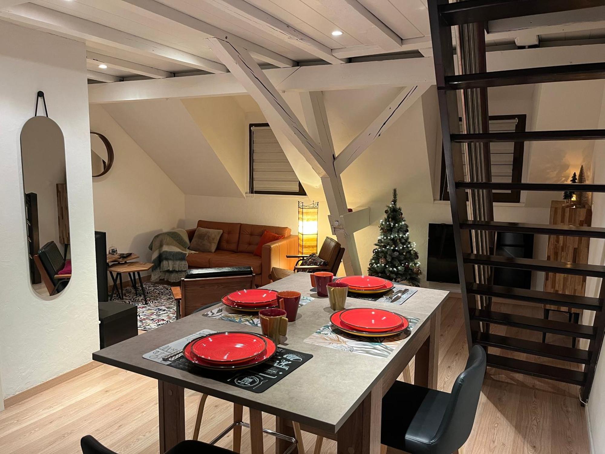 Charmant Duplex Privatise, Climatise, 2 Chambres Strasbourg Exterior photo