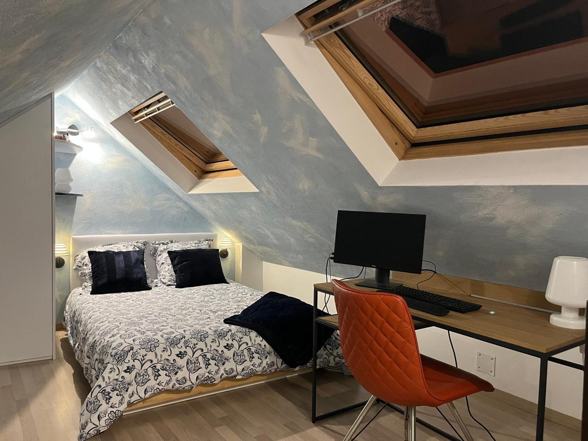 Charmant Duplex Privatise, Climatise, 2 Chambres Strasbourg Exterior photo