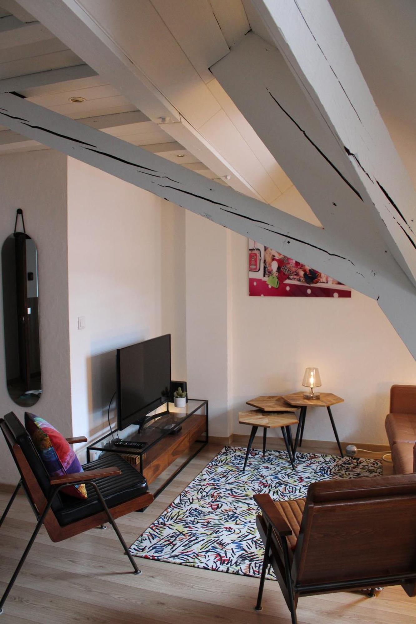 Charmant Duplex Privatise, Climatise, 2 Chambres Strasbourg Exterior photo