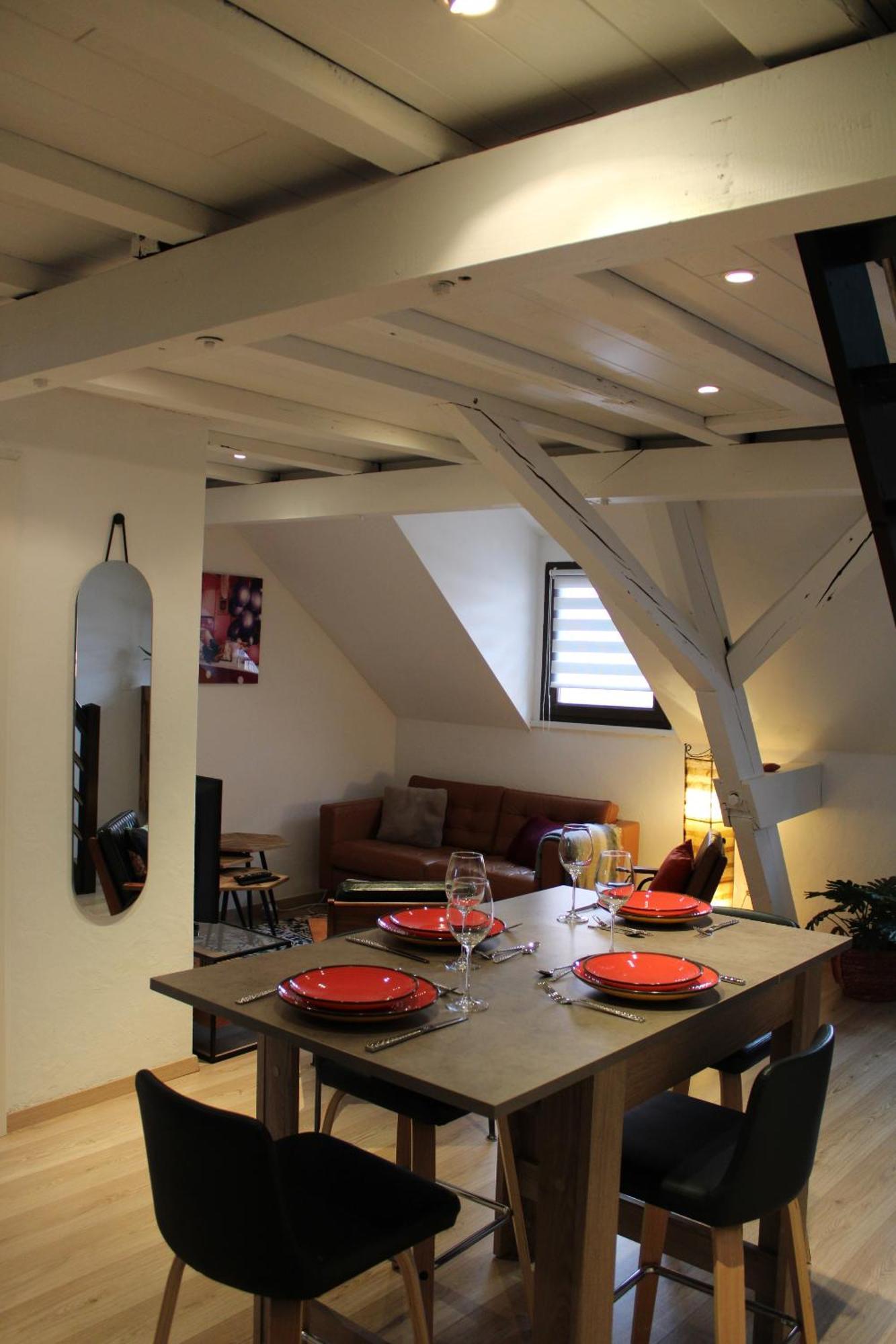 Charmant Duplex Privatise, Climatise, 2 Chambres Strasbourg Exterior photo
